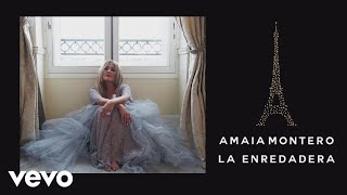 La Enredadera Lyrics  Translation