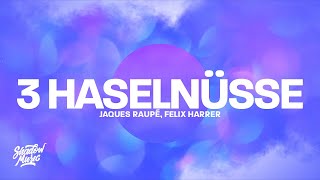 Jaques Raupé, Felix Harrer - 3 Haselnüsse (Techno Version)