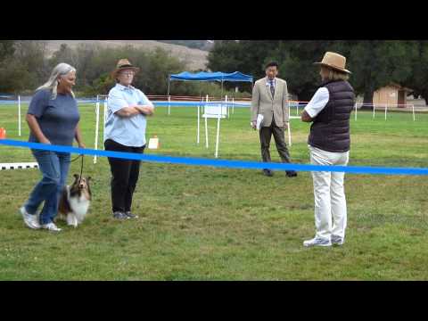 Karleen and Happy - figure 8