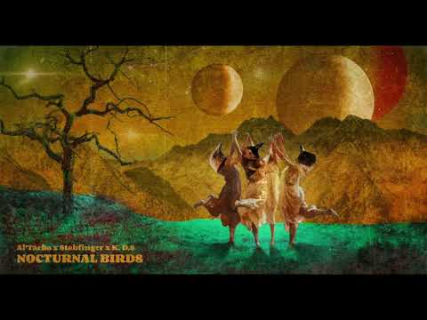 Al'tarba x Stabfinger x K.D.S - Nocturnal Birds