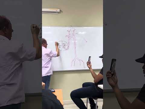 Fisiología del corazón 3/5