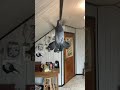 Pigeon In Slow Motion Kedle Flying