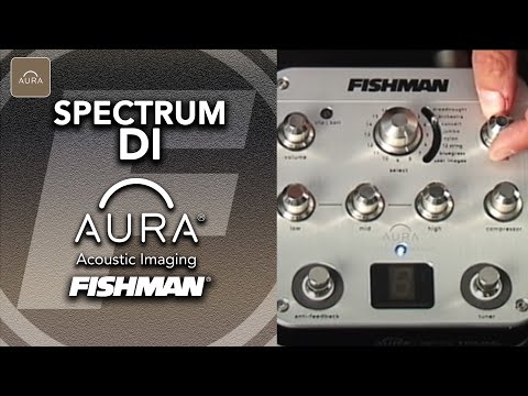 Fishman Aura Spectrum DI Gitarreneffekt