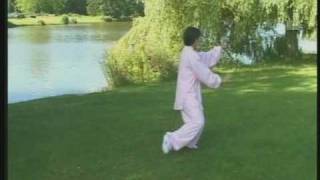 Sun Style Tai Chi - 38 Step / 孙氏太极拳38式 李晖老师示范