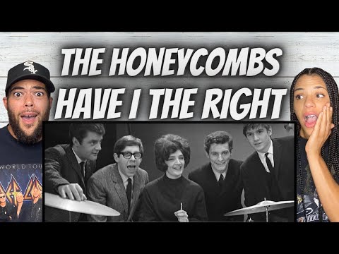 CLASSIC!| FIRST TIME HEARING The Honeycombs -  Have I The Right REACTION