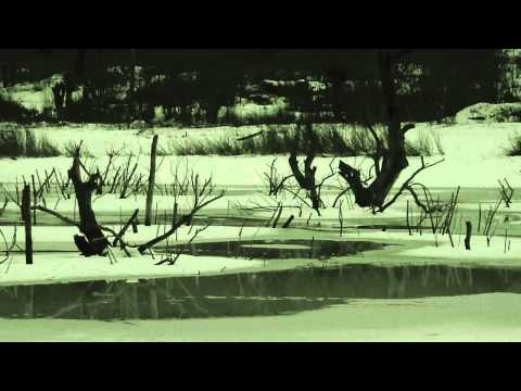 Ismerős Arcok - Fenyők