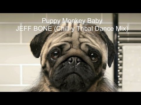 Puppy Monkey Baby - JEFF BONE (Chill-y Tribal Dance Mix)