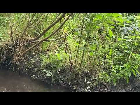 Surprising encounter ;)