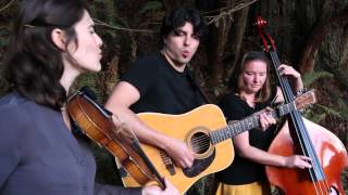 No Pardon: Cage (2016 NPR Tiny Desk Contest Submission)