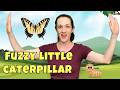 Fuzzy Little Caterpillar 🐛🦋 | Kids Song with Hand Motions