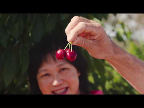 The 75th National Cherry Festival