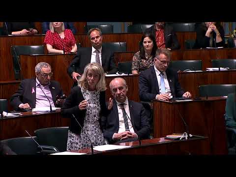 Kristillisdemokraattien puheenvuorot .  Eduskunnan suullinen kyselytunti 9.6.2022