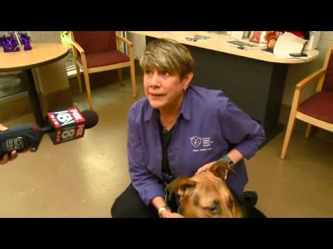 Animals abandoned with notes in home