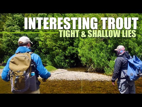 Fly Fishing Trout in TIGHT & SHALLOW! Fly Fishing in the Willows on Chile's Rio Simpson