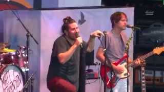 Matt Nathanson - Gold In The Summertime 6-6-15 Picasso At the Wheel Tour Tampa, FL