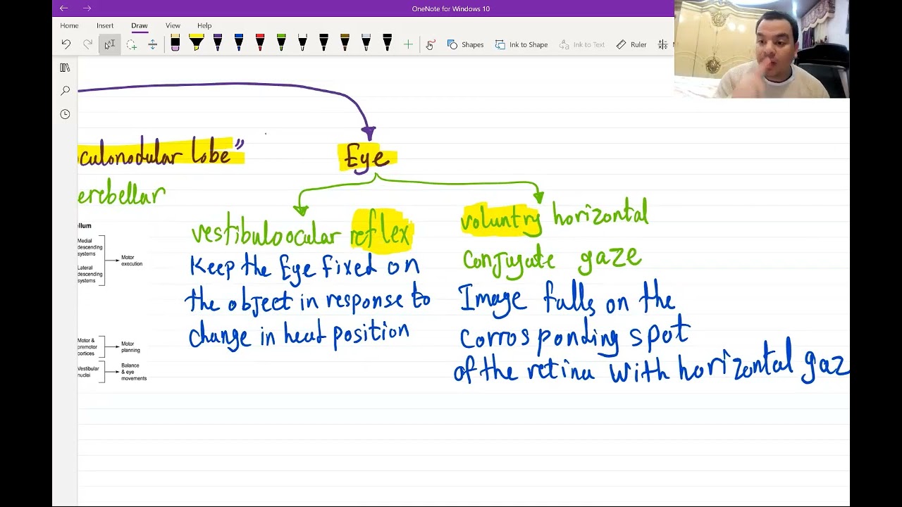 6. Basics of Neuroanatomy for USMLE - (Free trial Link in Description Below)