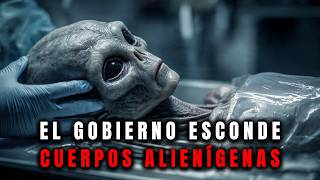 La Era de la Revelación: el Contacto con Otra Inteligencia Puede Sacudir Toda la Historia Humana