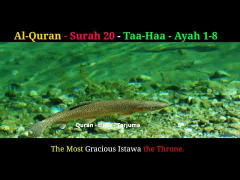 Quran surah 20 taa haa 1- 8 Quran Urdu translation and English // maulana muhammad ali jalandhari