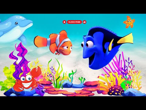 ANIMALI MARINI | VIDEO ANIMALI PER BAMBINI | VERSI REALI | NOMI E CARATTERISTICHE