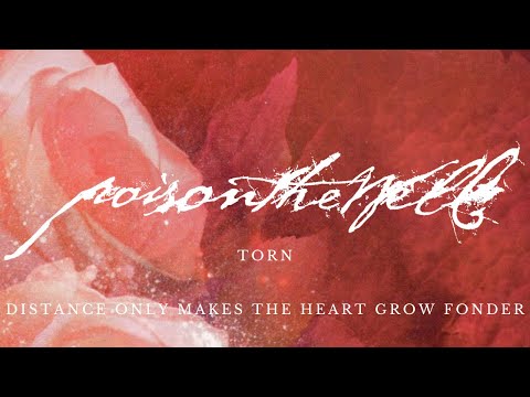 POISON THE WELL - TORN