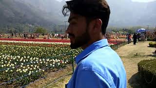 preview picture of video 'Kashmir Trip | Asia's largest Tulip Garden'