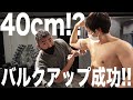 腕回り40cm!?減量後の急成長をご覧ください!【腕トレ】