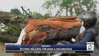 Download lagu Puluhan Rumah Rusak dan Pohon tumbang diterjang Angin Puting Beliung di Sidoarjo mp3 Download lagu Puluhan Rumah Rusak dan Pohon tumbang diterjang Angin Puting Beliung di Sidoarjo mp3