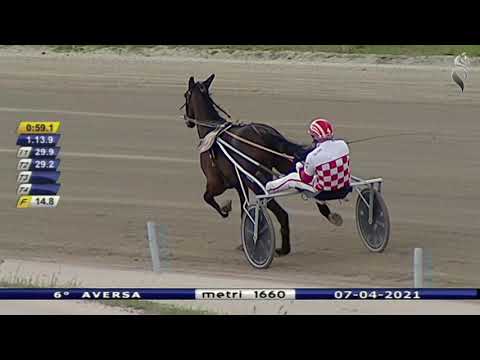 Aversa trotto 7 Aprile 2021 - 6° Corsa