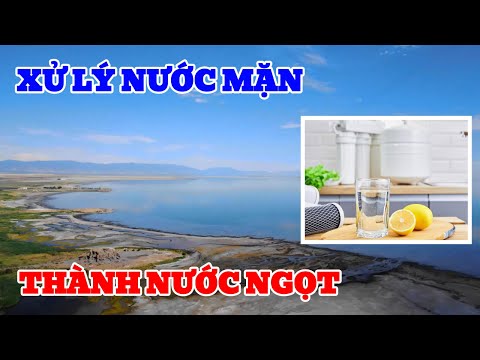 Tác Hại Của Nước Nhiễm Mặn - Các Cách Xử Lý Nước Nhiễm Mặn Thành Nước Ngọt - Xử Lý Nước Việt Phát