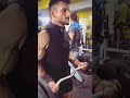 Best exercise for biceps gains
