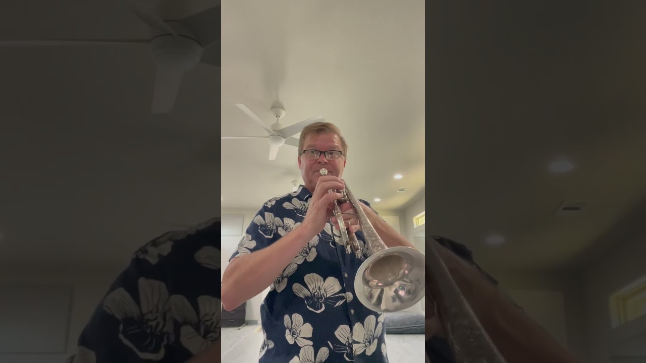 Promotional video thumbnail 4 for Freelance trumpet player