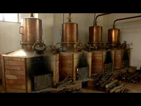 Reč struke ep. 104 15.08.2017. NAJAVA