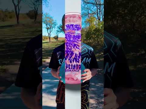 Samson is here 🙌🏼