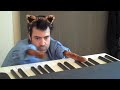 Keyboard cat (mervin) - Známka: 4, váha: velká
