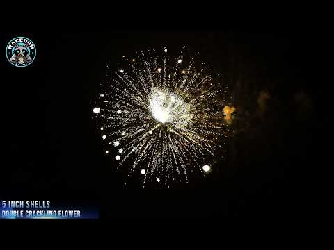 Raccoon Fireworks 1.3G JY5 0374 5 inch Shell Double Crackling Flower