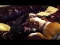 HUGE Red Nose & Blue Nose Pitbull Dog FIGHT ...