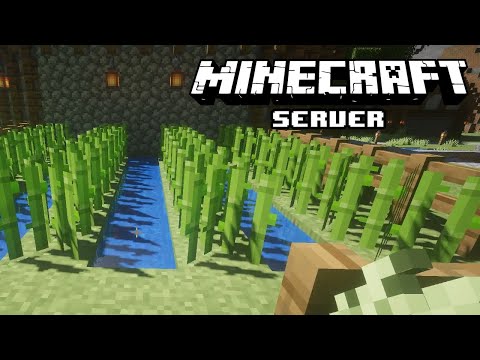 MINECRAFT ☀️ S06E16 • Neues MÜHLEN-UPGRADE • LET'S PLAY MINECRAFT