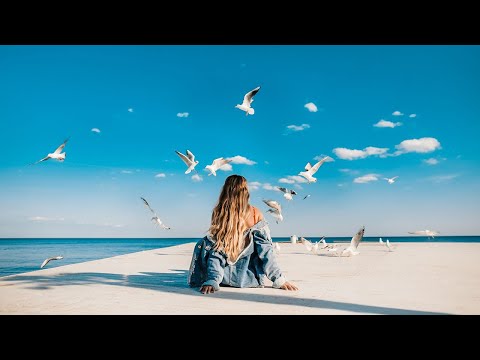 Lucid Dreaming - Velee feat. Willow | Pop Music
