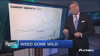 These pot stocks are getting even hotter, technician says