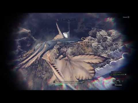 Legiana hunting raphinos
