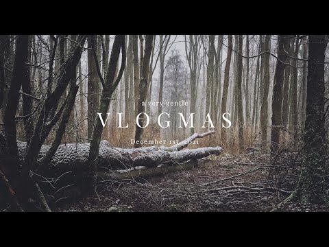 A very gentle vlogmas — December 1, 2021