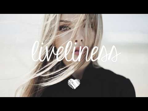 Sia - Elastic Heart (Madilyn Bailey Cover) [Nicko Veaz Edit]
