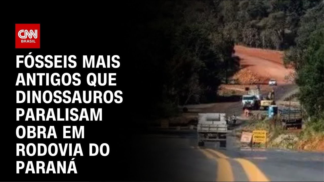 Obra em rodovia é interditada por fósseis mais antigos que dinossauros