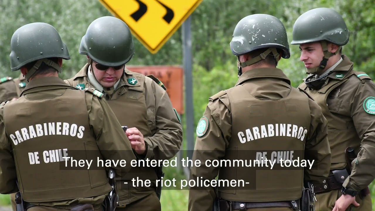 Statement from Chile to the UN Climate COP25: No "Natural Climate Solutions"!