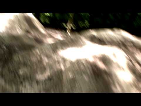 powernewz - Ein Bike-Erlebnis für Gross und Klein