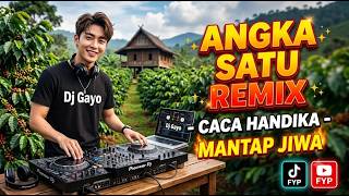 Download lagu Dj Angka Satu  - Caca Handika -  Remix Dj Gayo mp3