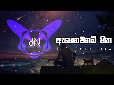 Ahenawanam Hitha Hadana Tharam (DNBeats Remix)
