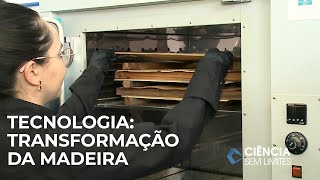 Science Without Limits | Technologies for wood processing