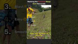 Download lagu Ranking Funniest Wasp Nest Removals #shorts #wasp #funny #ranking mp3
