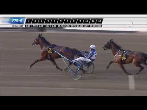 Svenskt Trav Kriterium Final 2016, Deimos Racing
